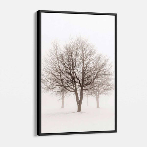 White Winter Tree Wall Art Canvas 3022