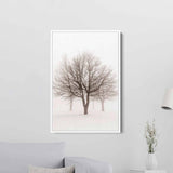 White Winter Tree Wall Art Canvas 3022