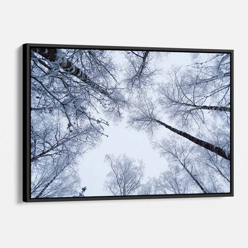 White Winter Wall Art Canvas 9516