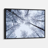 White Winter Wall Art Canvas 9516
