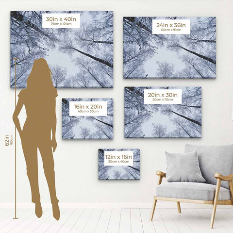 White Winter Wall Art Canvas 9516