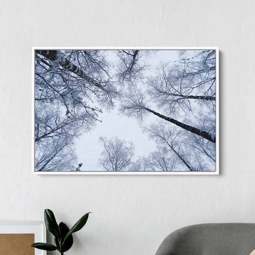 White Winter Wall Art Canvas 9516