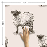 Off White Sketched Animal Removable Wallpaper 6396| Walls By Me