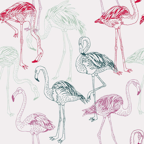 Red and Purple Bird Animal Removable Wallpaper 0143| Walls By Me