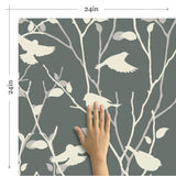 Grey Bird Animal Peel and Stick Removable Wallpaper
