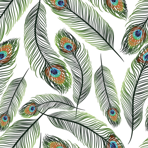White and Turquoise Bird Animal Removable Wallpaper 2797| Walls By Me