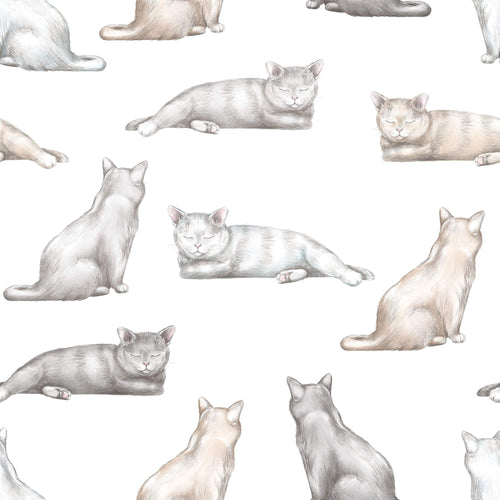 cat print removable wallpaper for home office