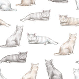 cat print removable wallpaper for home office