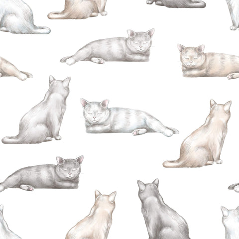 cat print removable wallpaper for home office