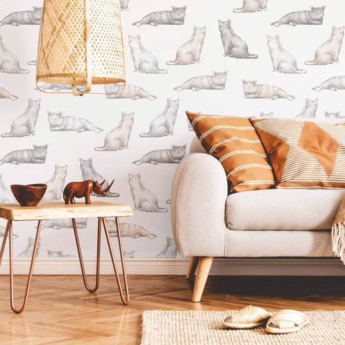 cat print removable wallpaper for home office