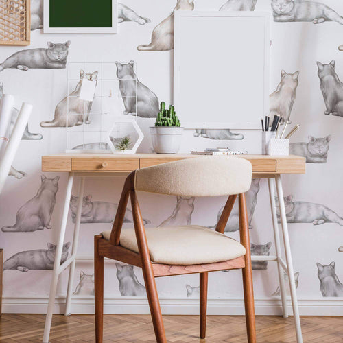 cat print removable wallpaper for home office