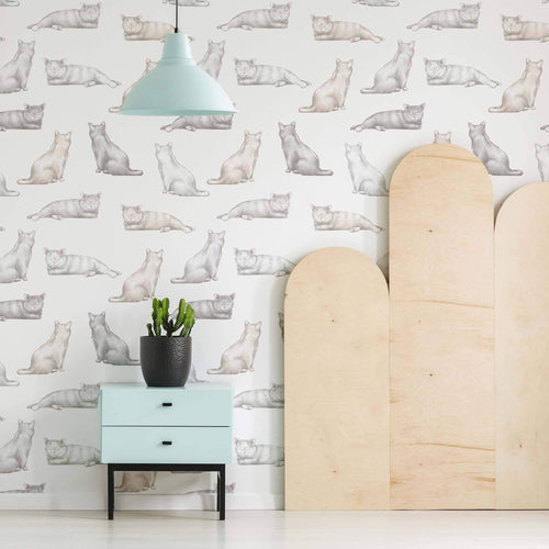 cat print removable wallpaper for home office
