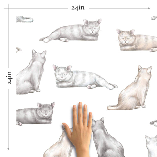 cat print removable wallpaper for home office