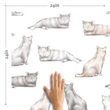 cat print removable wallpaper for home office