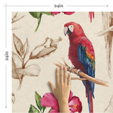 Red and Tan Bird Animal Removable Wallpaper 2321| Walls By Me
