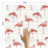 Fuchsia and Brown Bird Animal Removable Wallpaper 2116| Walls By Me