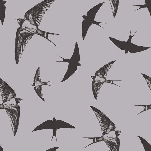Grey and Black Bird Animal Removable Wallpaper 7648| Walls By Me