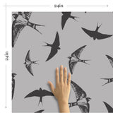 Grey and Black Bird Animal Removable Wallpaper 7648| Walls By Me
