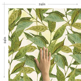 Green and Beige Leaf Floral Removable Wallpaper 0625| Walls By Me