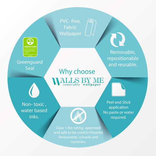 Green Car Peel and Stick Removable Wall Mural 4130