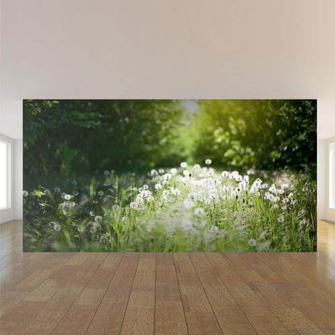 Buy Beautiful Green Sunny Forest Wall Mural Peel and Stick Vinyl Online in  India  Etsy