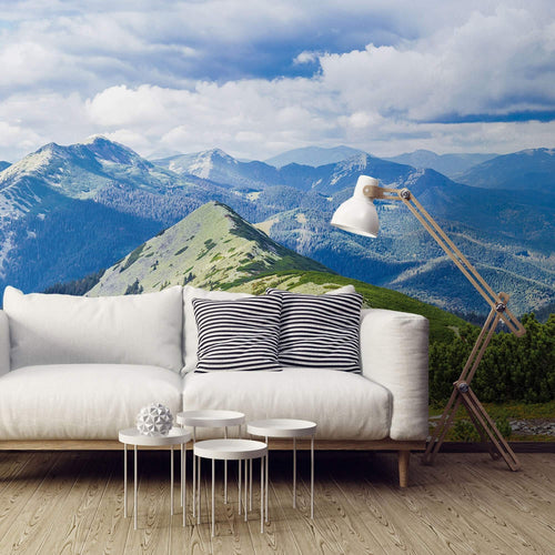 Green and White Mountain Landscape Peel and Stick Removable Wall Mural 5280