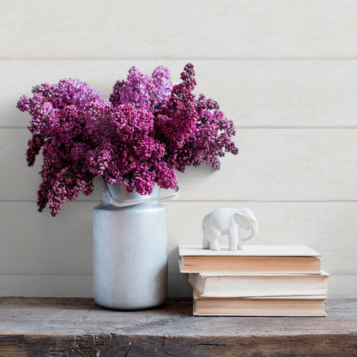 White Ivory Faux Shiplap Texture Peel and Stick Removable Wallpaper