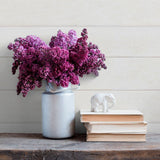 White Ivory Faux Shiplap Texture Peel and Stick Removable Wallpaper