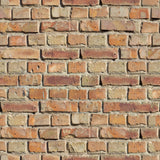 Wallpaper Sample for Living Room Red, Orange and Similar Tones 001