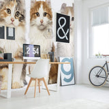 Green and Yellow Cats Peel and Stick Removable Wall Mural 5045