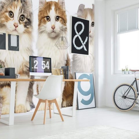 Green and Yellow Cats Peel and Stick Removable Wall Mural 5045