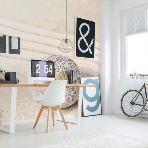 Tan Zen Peel and Stick Removable Wall Mural 8893