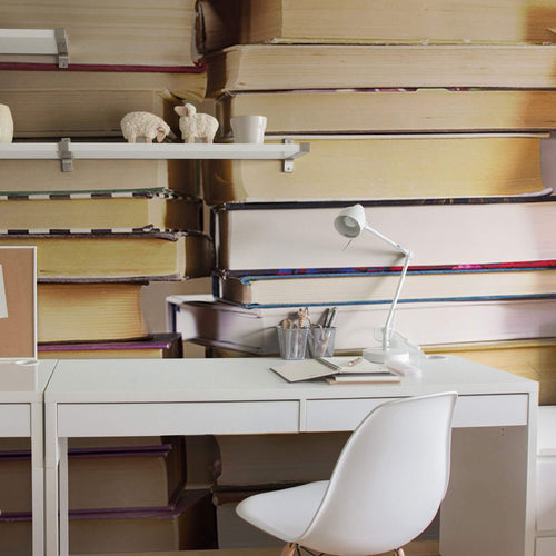 Brown and White Library Peel and Stick Removable Wall Mural 5394