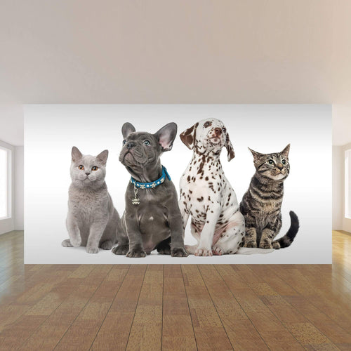 Brown and Orange Dog and Cat Peel and Stick Removable Wall Mural 8640