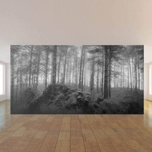 White and Black Forest Landscape Peel and Stick Removable Wall Mural 5252