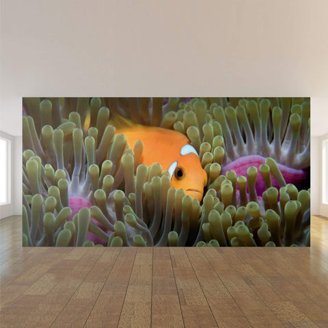 Orange and Fuchsia Tropical Fish Peel and Stick Removable Wall Mural 5395