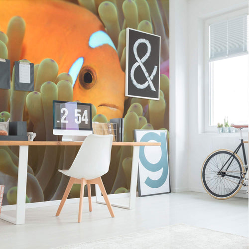 Orange and Fuchsia Tropical Fish Peel and Stick Removable Wall Mural 5395