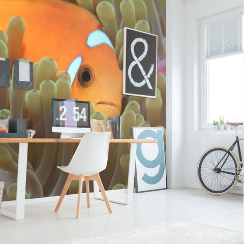 Orange and Fuchsia Tropical Fish Peel and Stick Removable Wall Mural 5395