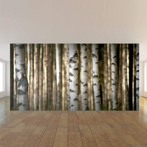 White Forest Peel and Stick Removable Wall Mural 5239
