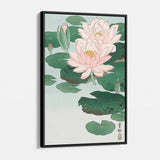 Pink water lily Wall Art Canvas 6470