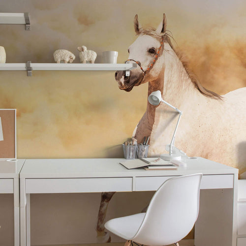 White Horse Peel and Stick Removable Wall Mural 4948