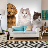 Brown and White Dog and Cat Peel and Stick Removable Wall Mural 7539